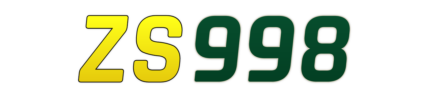 zs998